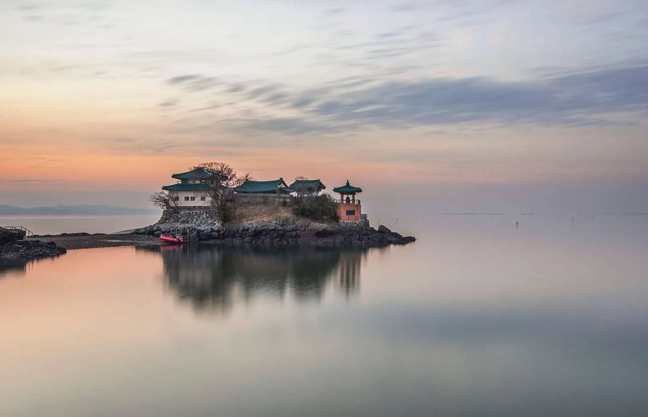 Roofing and Roof Repairs: Expert Home Guide